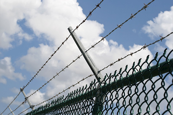 Dikenli Teller, İzmir Çit